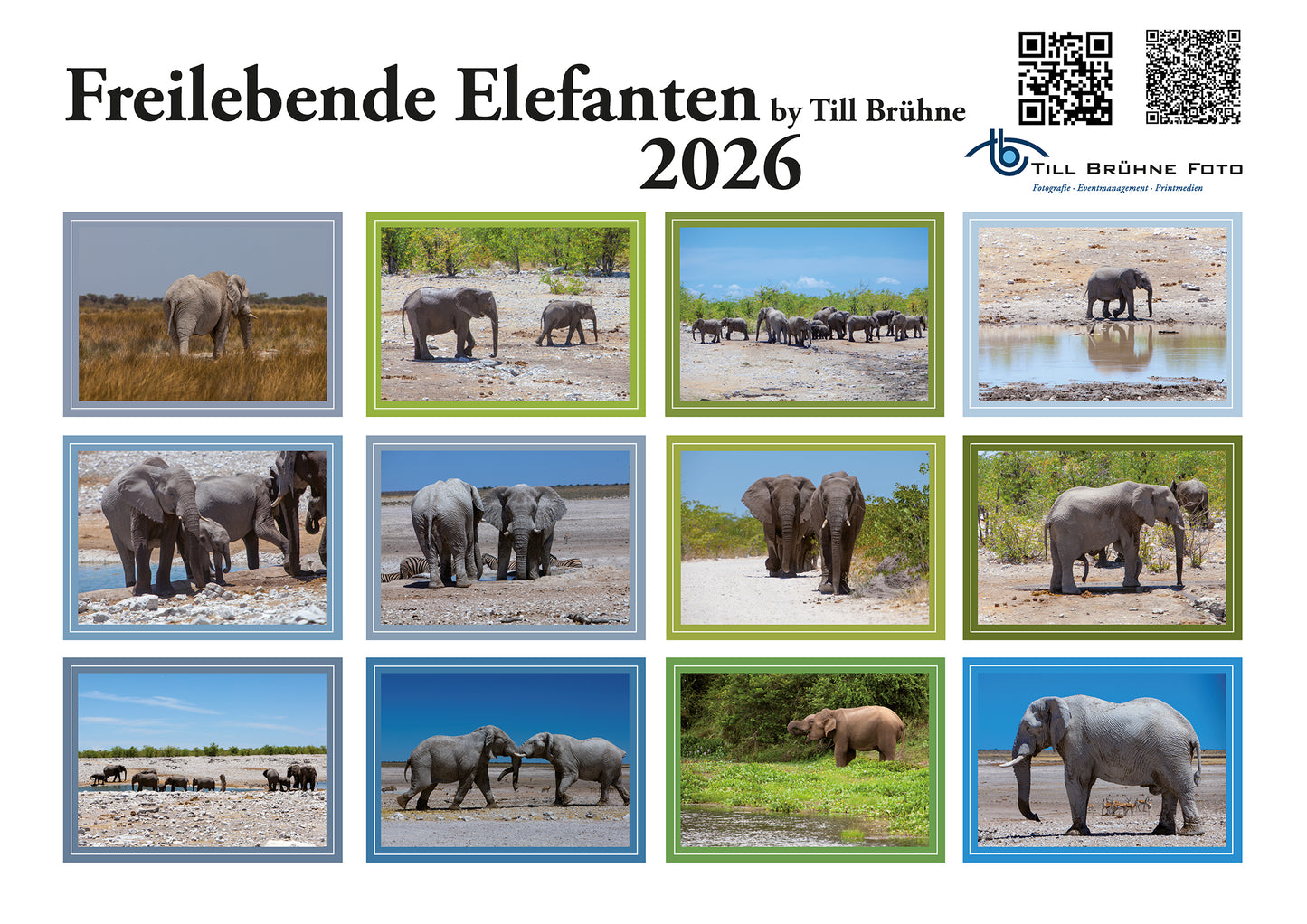 Freilebende Elefanten 2026 TBFOTO FOTO-WANDKALENDER