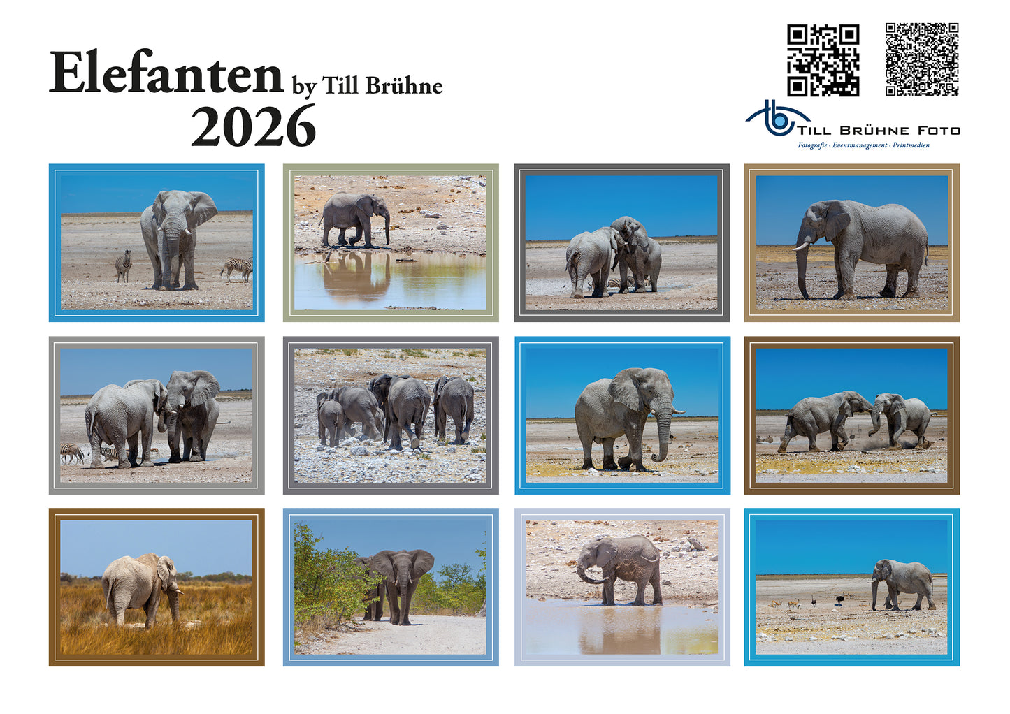 Elefanten 2026 TBFOTO FOTO-WANDKALENDER