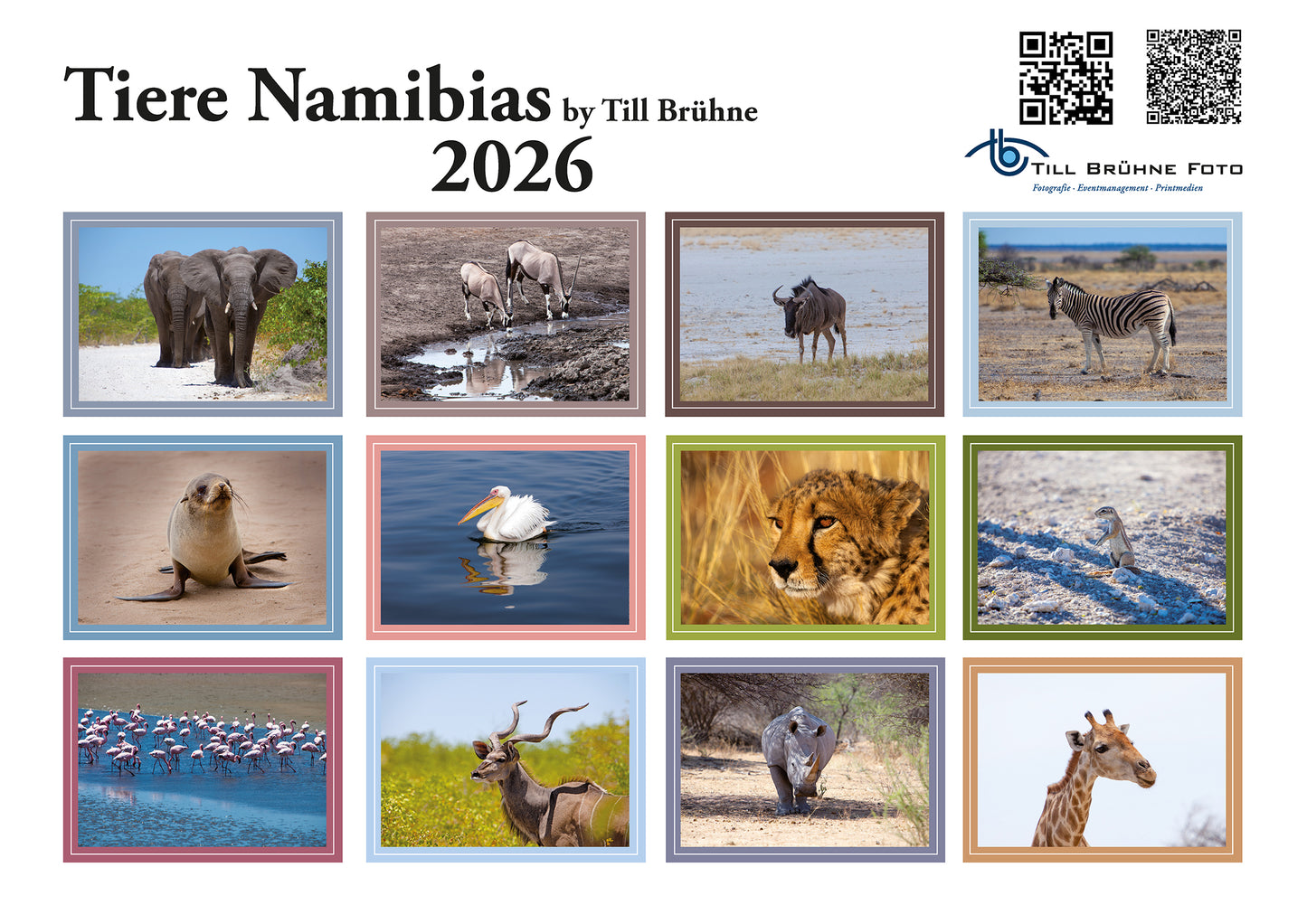 Tiere Namibias 2026 TBFOTO FOTO-WANDKALENDER