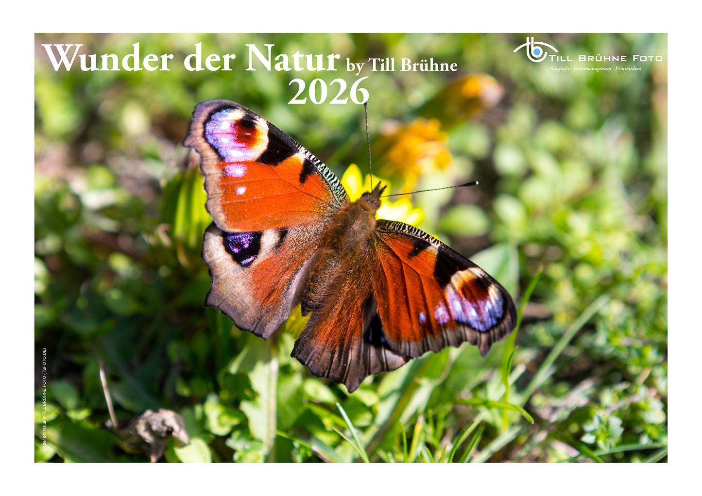 Wunder der Natur 2026 TBFOTO FOTO-WANDKALENDER