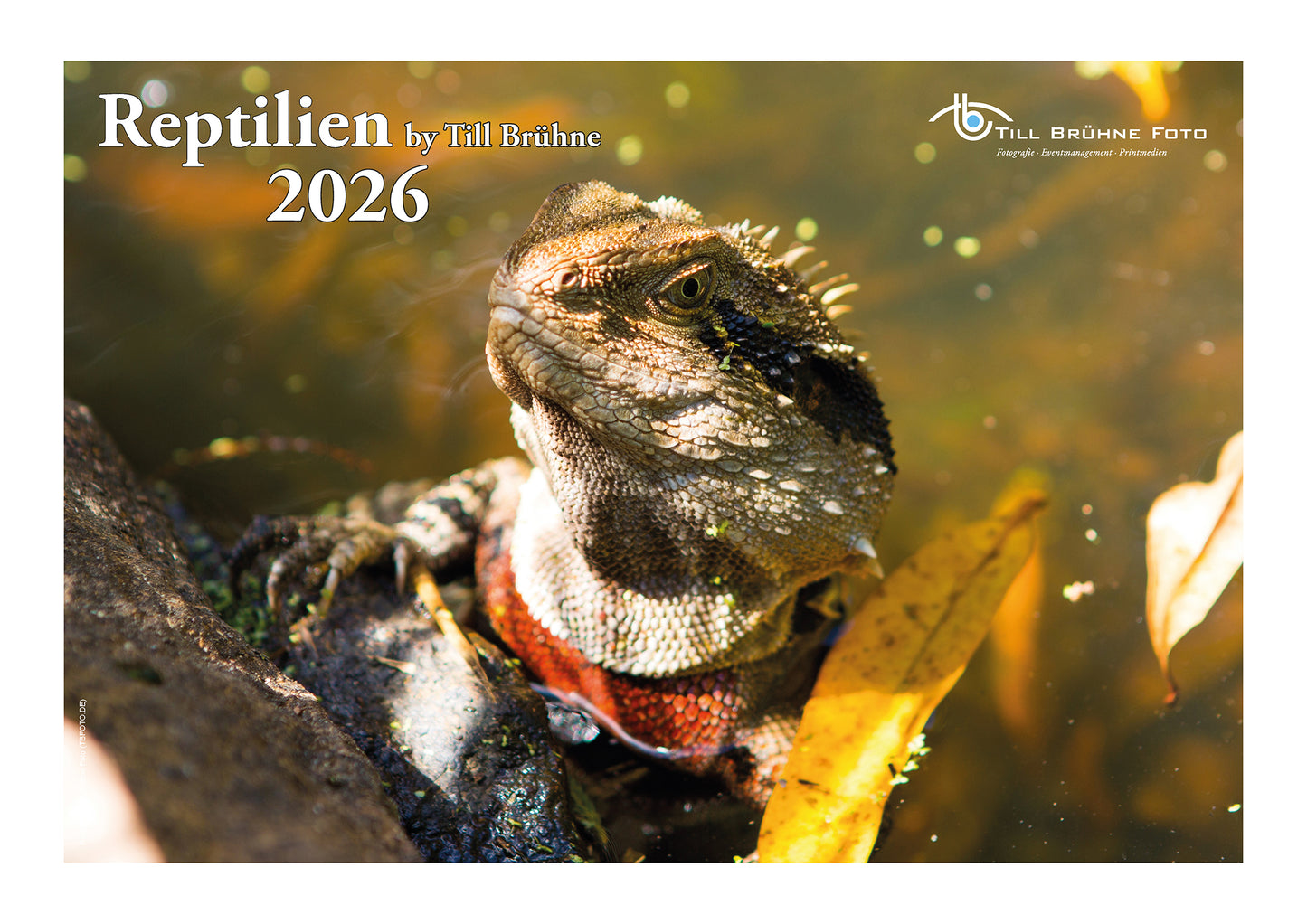 Reptilien 2026 TBFOTO FOTO-WANDKALENDER