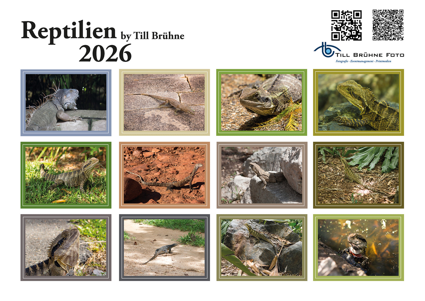 Reptilien 2026 TBFOTO FOTO-WANDKALENDER