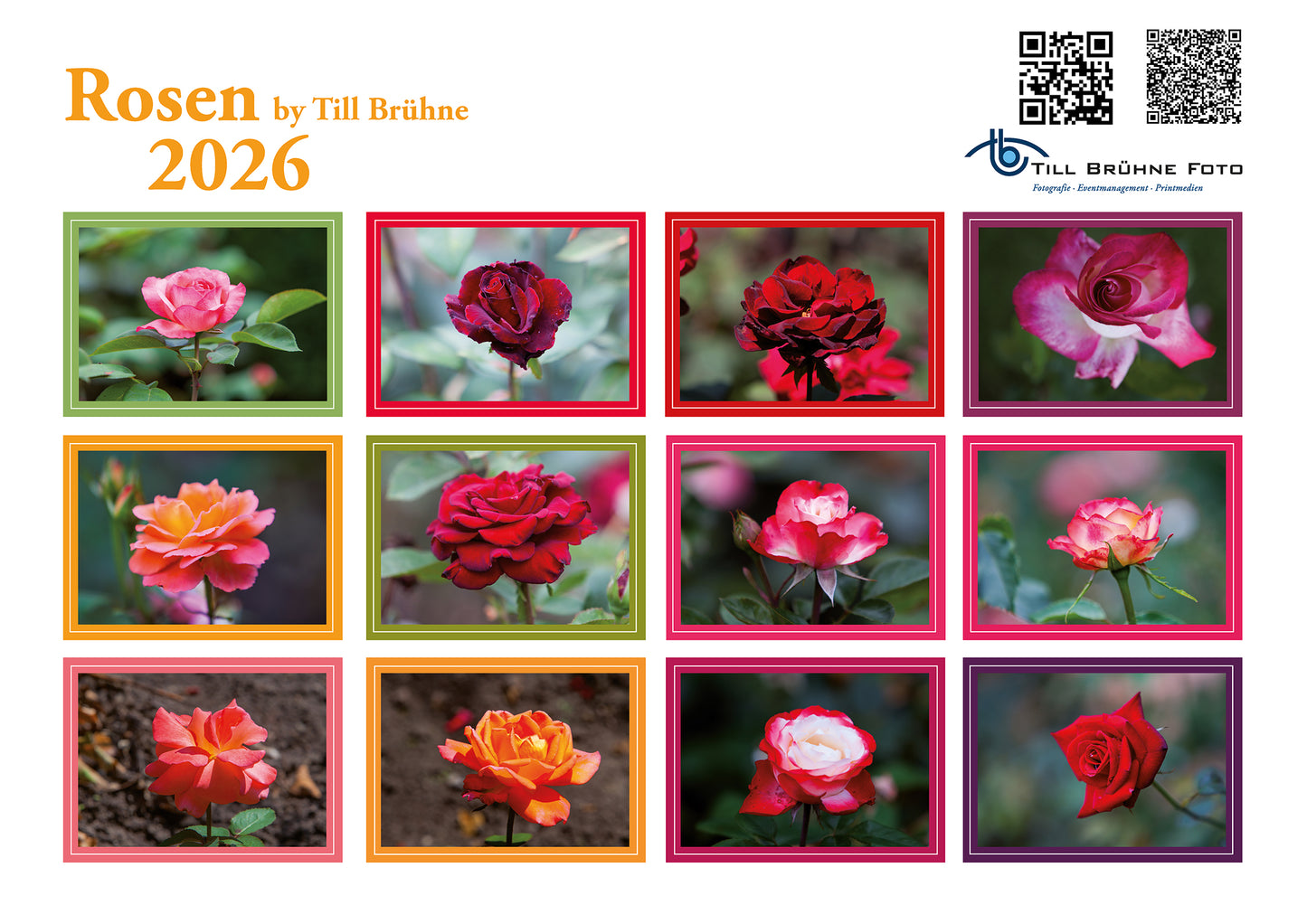 Rosen 2026 TBFOTO FOTO-WANDKALENDER