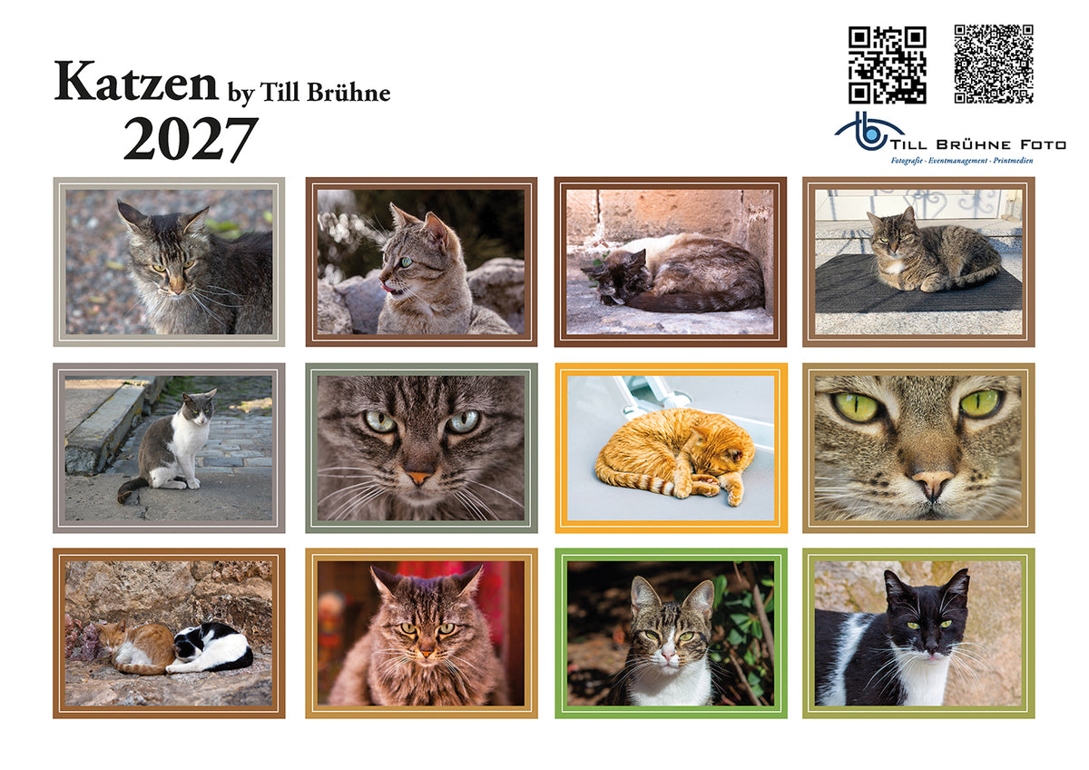Katzen 2027 TBFOTO FOTO-WANDKALENDER