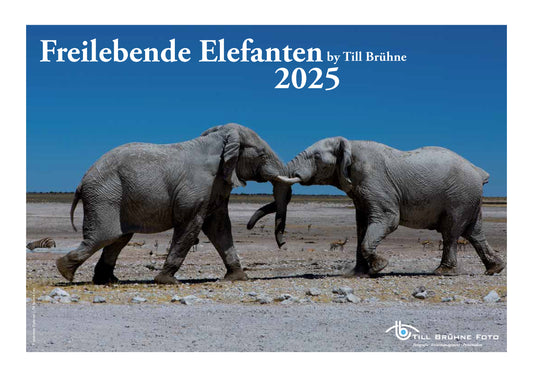 Freilebende Elefanten 2025 TBFOTO FOTO-WANDKALENDER