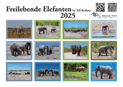 Freilebende Elefanten 2025 TBFOTO FOTO-WANDKALENDER