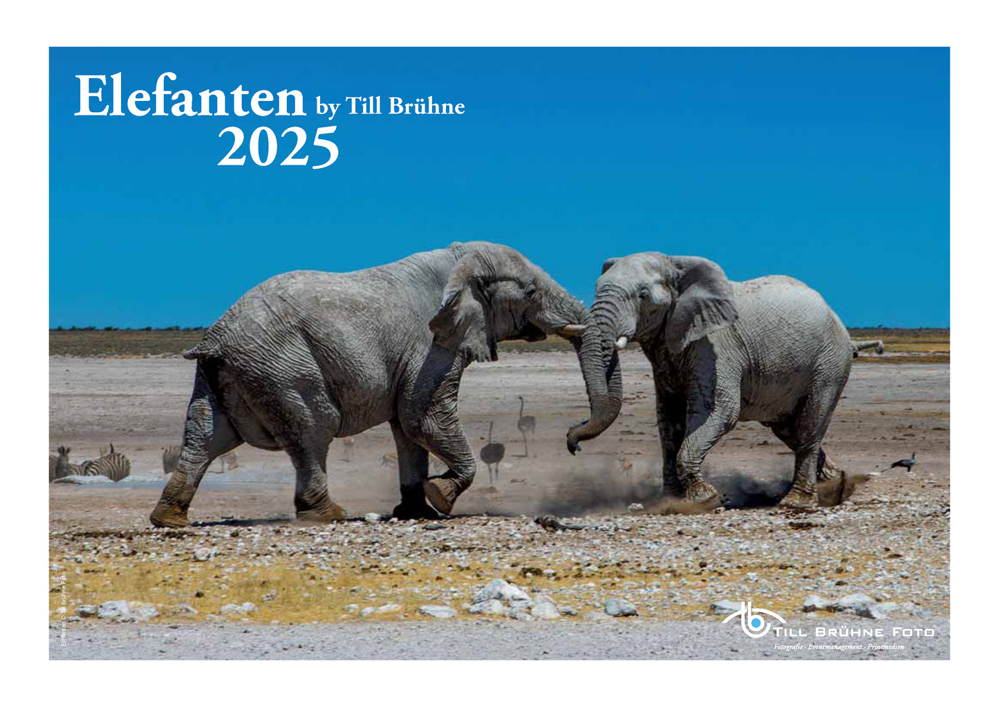 Elefanten 2025 TBFOTO FOTO-WANDKALENDER