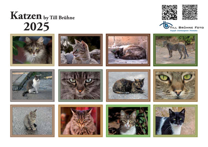 Katzen 2025 TBFOTO FOTO-WANDKALENDER