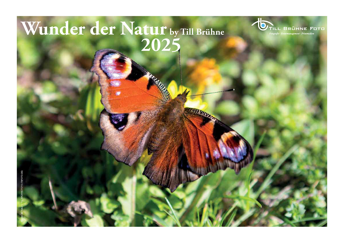 Wunder der Natur 2025 TBFOTO FOTO-WANDKALENDER