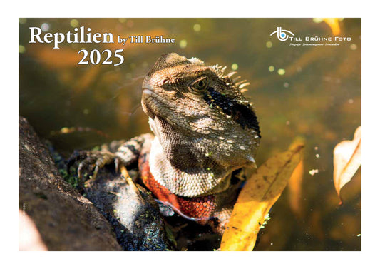 Reptilien 2025 TBFOTO FOTO-WANDKALENDER