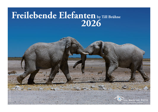 Freilebende Elefanten 2026 TBFOTO FOTO-WANDKALENDER