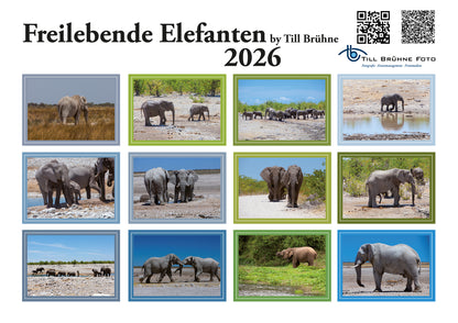 Freilebende Elefanten 2026 TBFOTO FOTO-WANDKALENDER