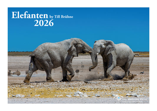 Elefanten 2026 TBFOTO FOTO-WANDKALENDER
