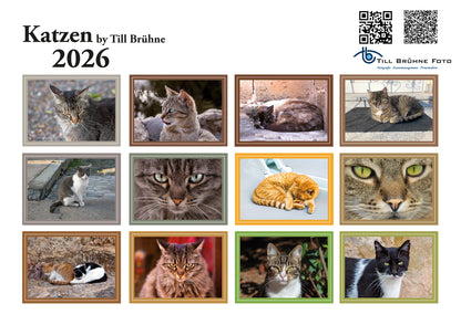 Katzen 2026 TBFOTO FOTO-WANDKALENDER