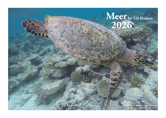 Meer 2026 TBFOTO FOTO-WANDKALENDER