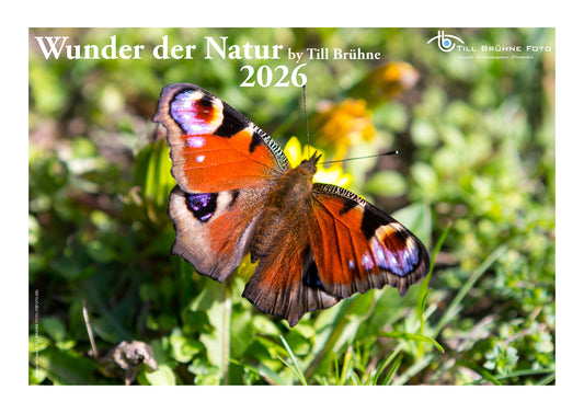 Wunder der Natur 2026 TBFOTO FOTO-WANDKALENDER