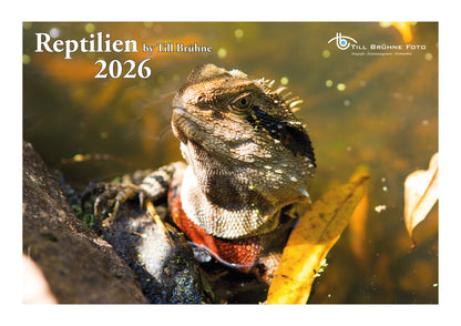Reptilien 2026 TBFOTO FOTO-WANDKALENDER