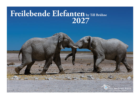 Freilebende Elefanten 2027 TBFOTO FOTO-WANDKALENDER