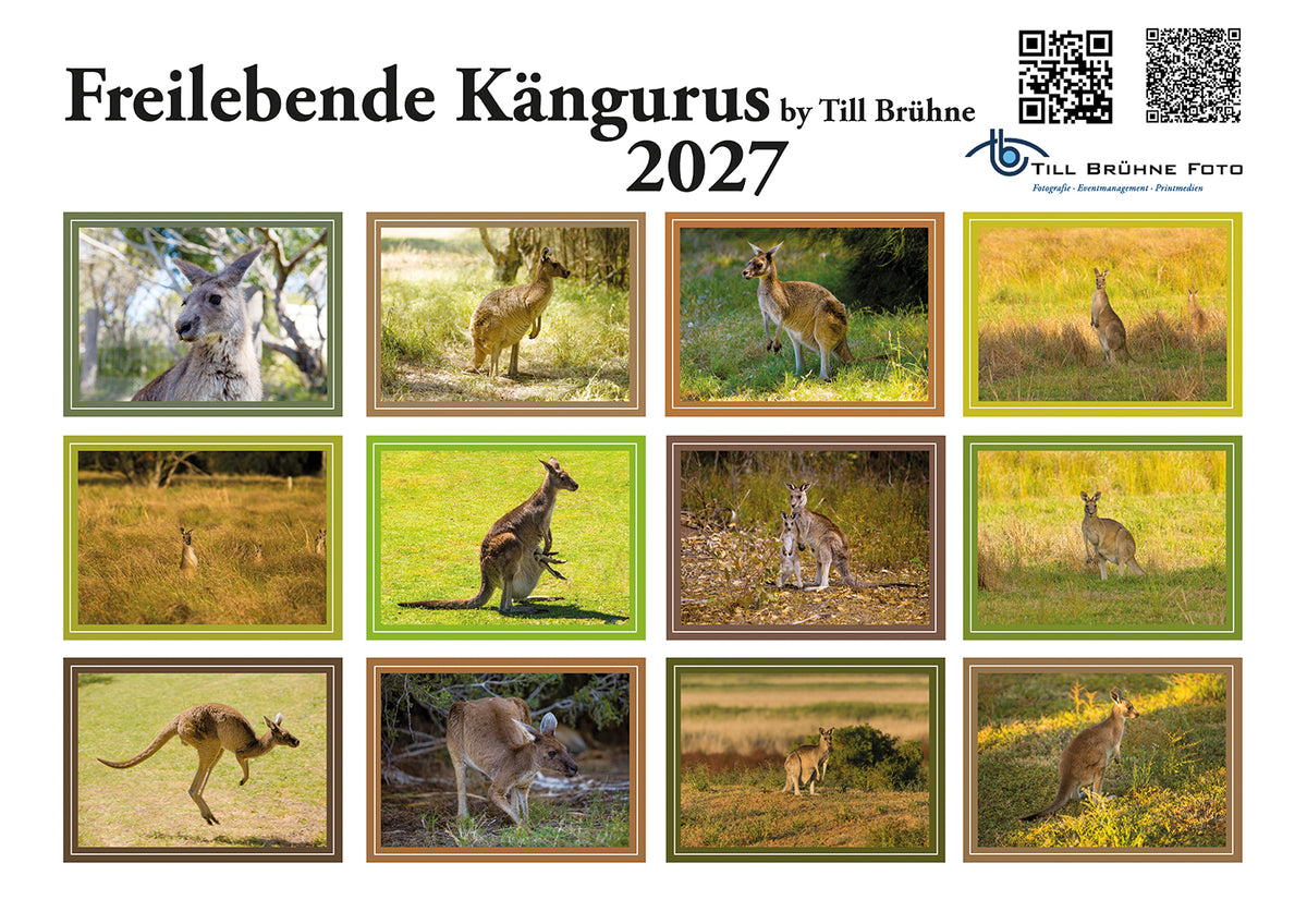 Freilebende Kängurus 2027 TBFOTO FOTO-WANDKALENDER