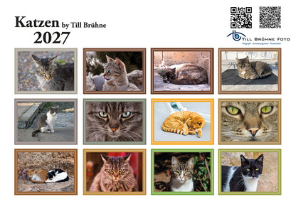 Katzen 2027 TBFOTO FOTO-WANDKALENDER