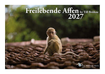 Freilebende Affen 2027 TBFOTO FOTO-WANDKAKENDER