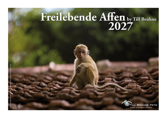 Freilebende Affen 2027 TBFOTO FOTO-WANDKAKENDER